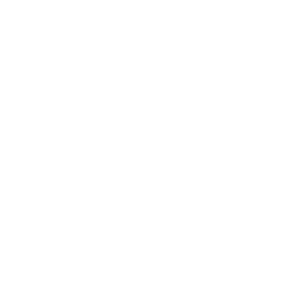 ICON-ip
